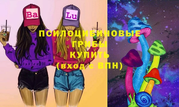 твердый Абинск